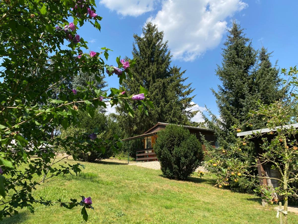 Waldfrieden Bungalow Garnsdorf Dış mekan fotoğraf
